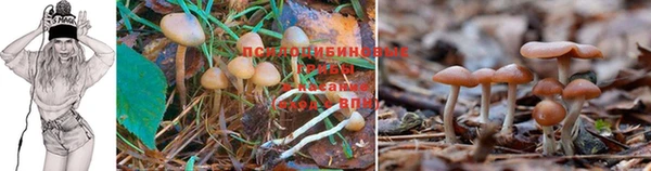 герыч Алексеевка