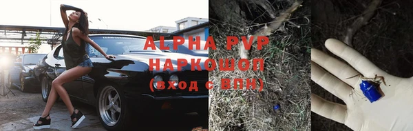 спиды Аркадак