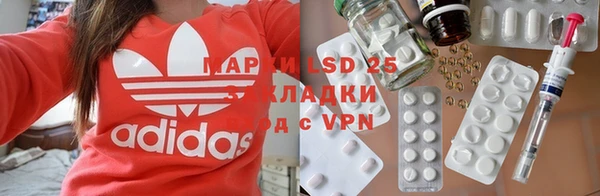 ПСИЛОЦИБИНОВЫЕ ГРИБЫ Алзамай