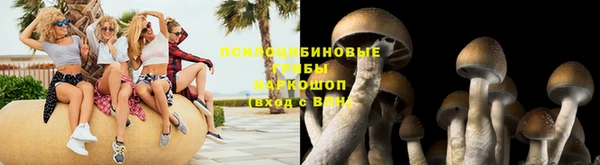 ПСИЛОЦИБИНОВЫЕ ГРИБЫ Алзамай