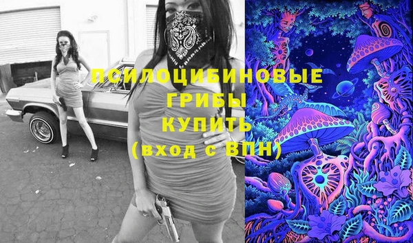 ПСИЛОЦИБИНОВЫЕ ГРИБЫ Алзамай