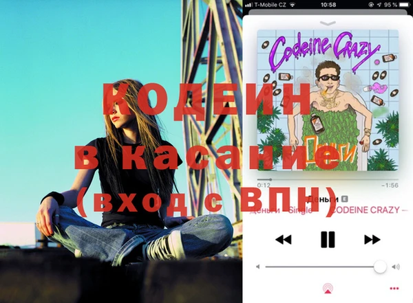 ПСИЛОЦИБИНОВЫЕ ГРИБЫ Алзамай