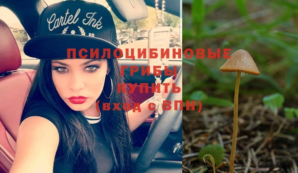 ПСИЛОЦИБИНОВЫЕ ГРИБЫ Алзамай