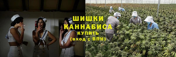спиды Аркадак